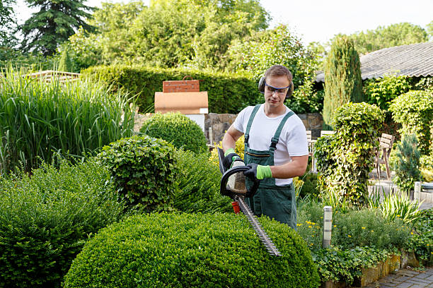 Lawn Maintenance Plans in Phillips, WI